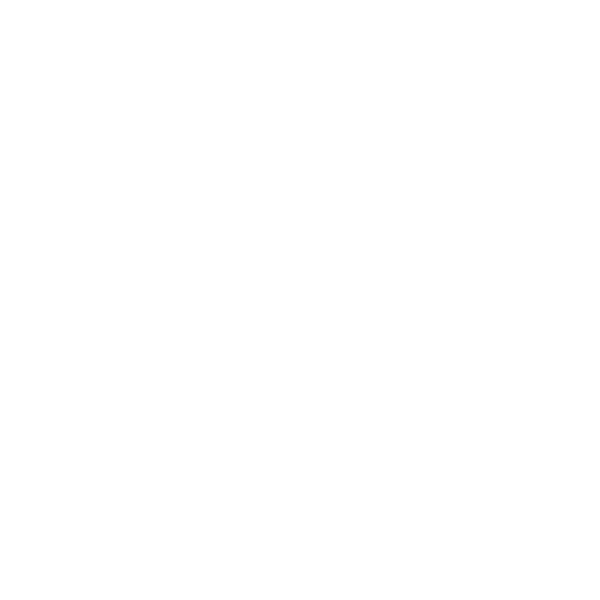 OCTIS AI