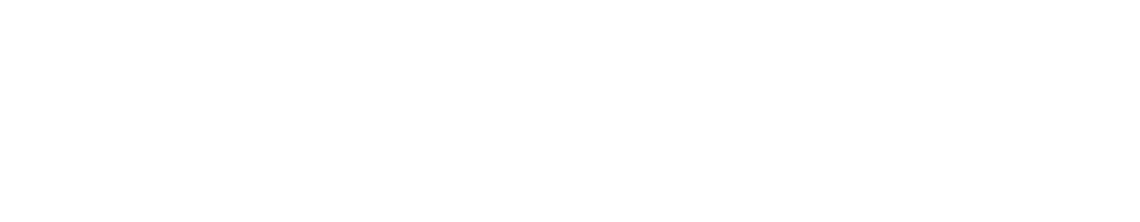 OCTIS
